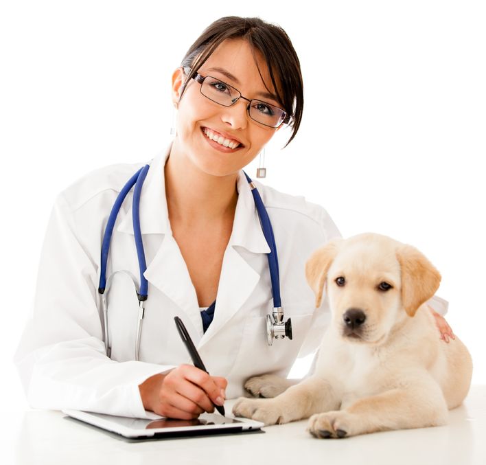 Animal & Pet Care